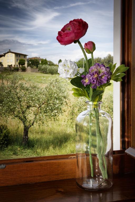 Agriturismo Ai Linchi Лукка Экстерьер фото